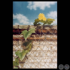 SIN TÍTULO, 2003 - Óleo de ADRIANA VILLAGRA